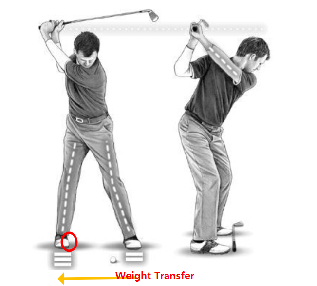 Image of weight movement during takeback